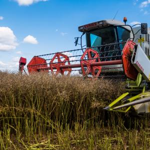 Tendências Globais em Plantio Direto: Rumo a uma Agricultura Sustentável