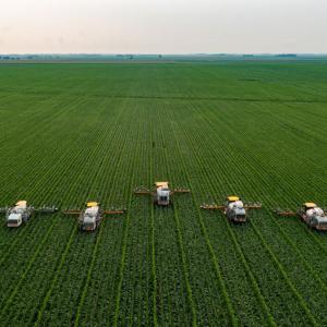 O que significa "Agro" - Compreendendo o Significado e a Importância