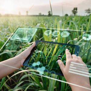 5 Tendências Tecnológicas para o Agronegócio em 2024