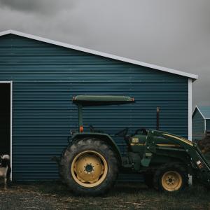 Manejo Integrado de Pragas no Plantio Direto: Estratégias Eficazes para uma Agricultura Sustentável